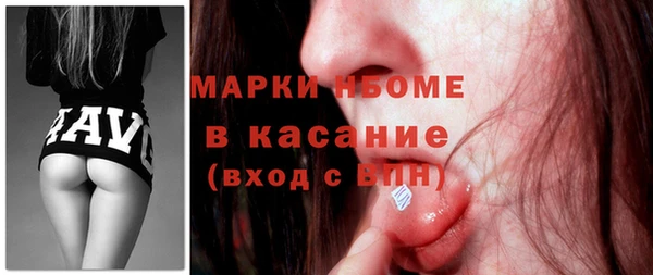 хмурый Белокуриха