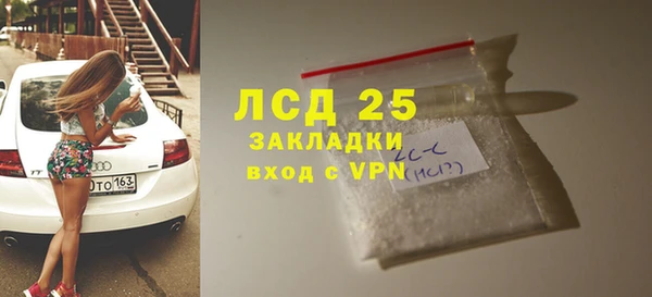 хмурый Белокуриха