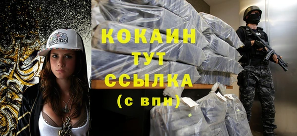 хмурый Белокуриха