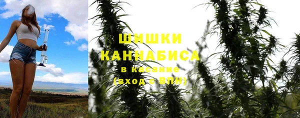 хмурый Белокуриха