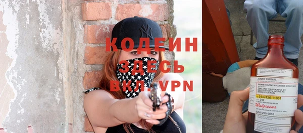 хмурый Белокуриха