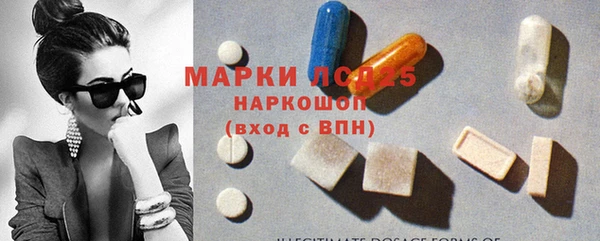 хмурый Белокуриха