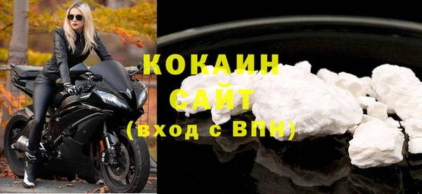 хмурый Белокуриха