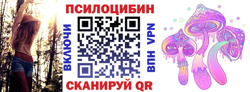 Псилоцибиновые грибы Psilocybine cubensis где продают Шарыпово